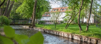 Insel Mühle
