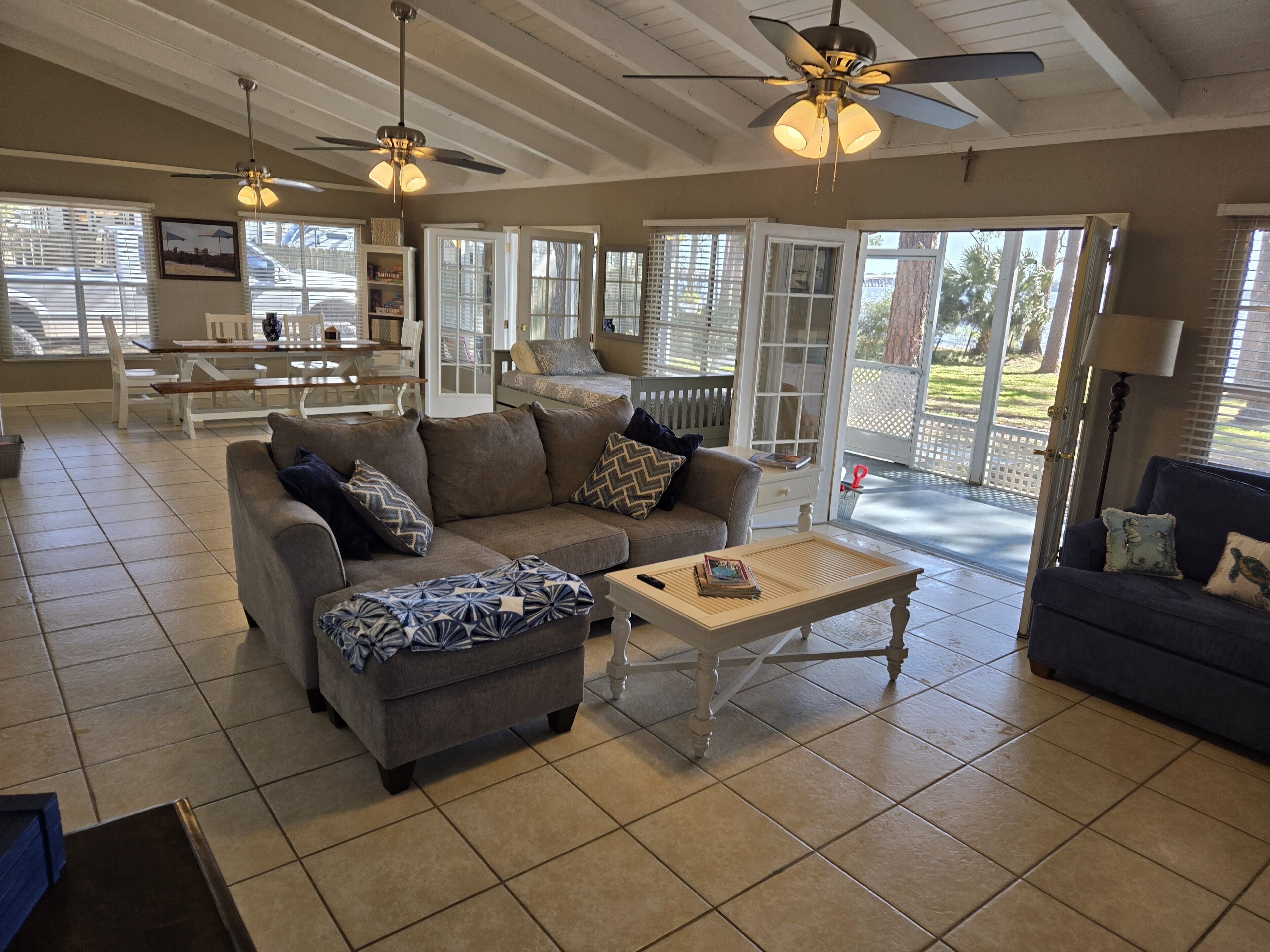 Smart TV, fireplace, DVD player, books