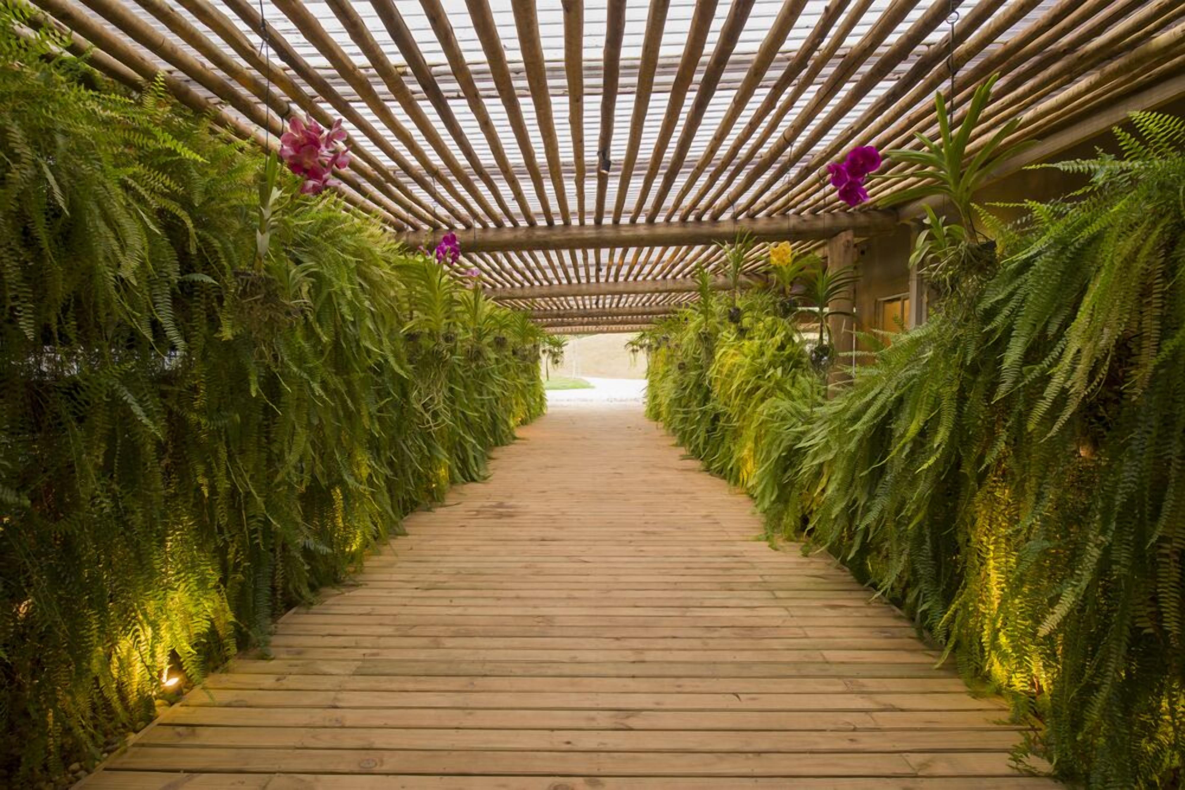 A wooden pathway flanked by lush green ferns and tropical flowers, leading to a covered area with a bamboo ceiling.