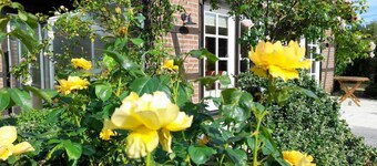 Ferienhaus Gartower See