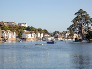 Unclassified image, 5 of 20, button