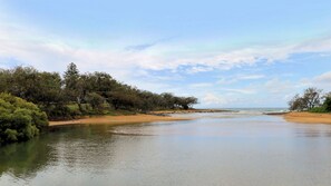 Un río tranquilo con una playa arenosa y árboles frondosos en las orillas.
