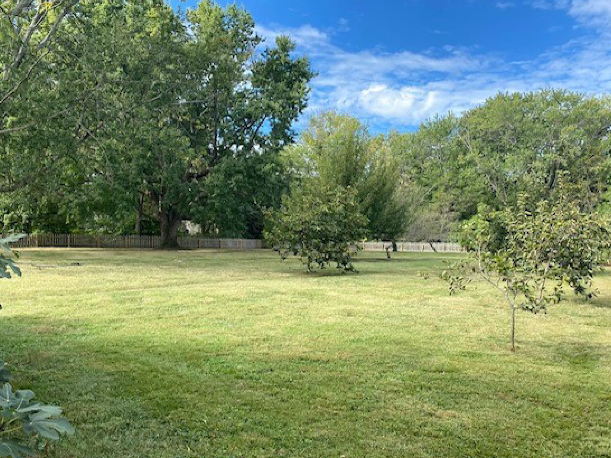 Tilghman | Fenced Yard | Pet Friendly | Charming