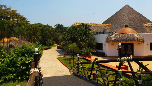 A pathway leading to a building with a thatched roof, surrounded by lush greenery and palm trees.