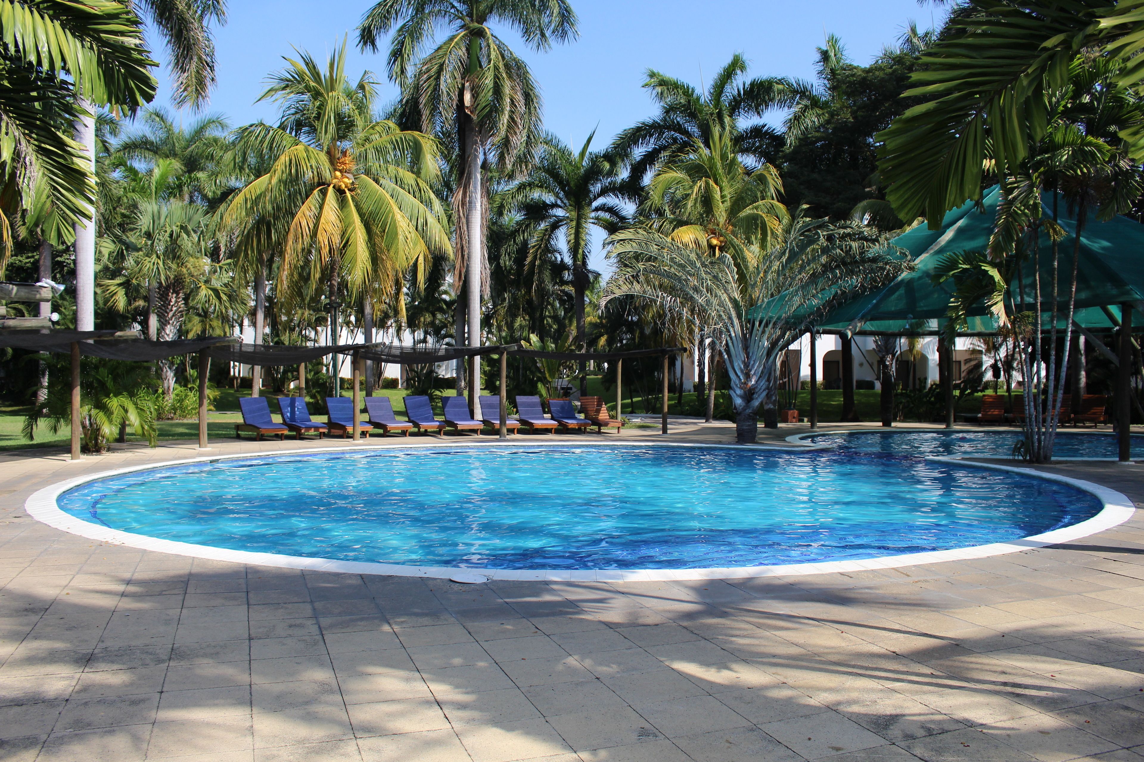 Deluxe Bungalow, Garden View | View from room