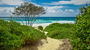 A beach path leading to the ocean with lush greenery and a clear blue sky. - The Oasis Apartments and Treetop Houses (Byron Bay)