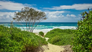 Plage à proximité, serviettes de plage