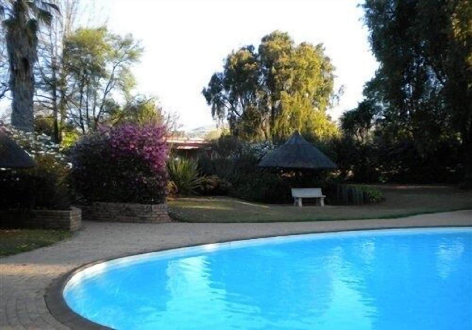 A swimming pool with a curved edge, surrounded by a paved area and various trees and shrubs.