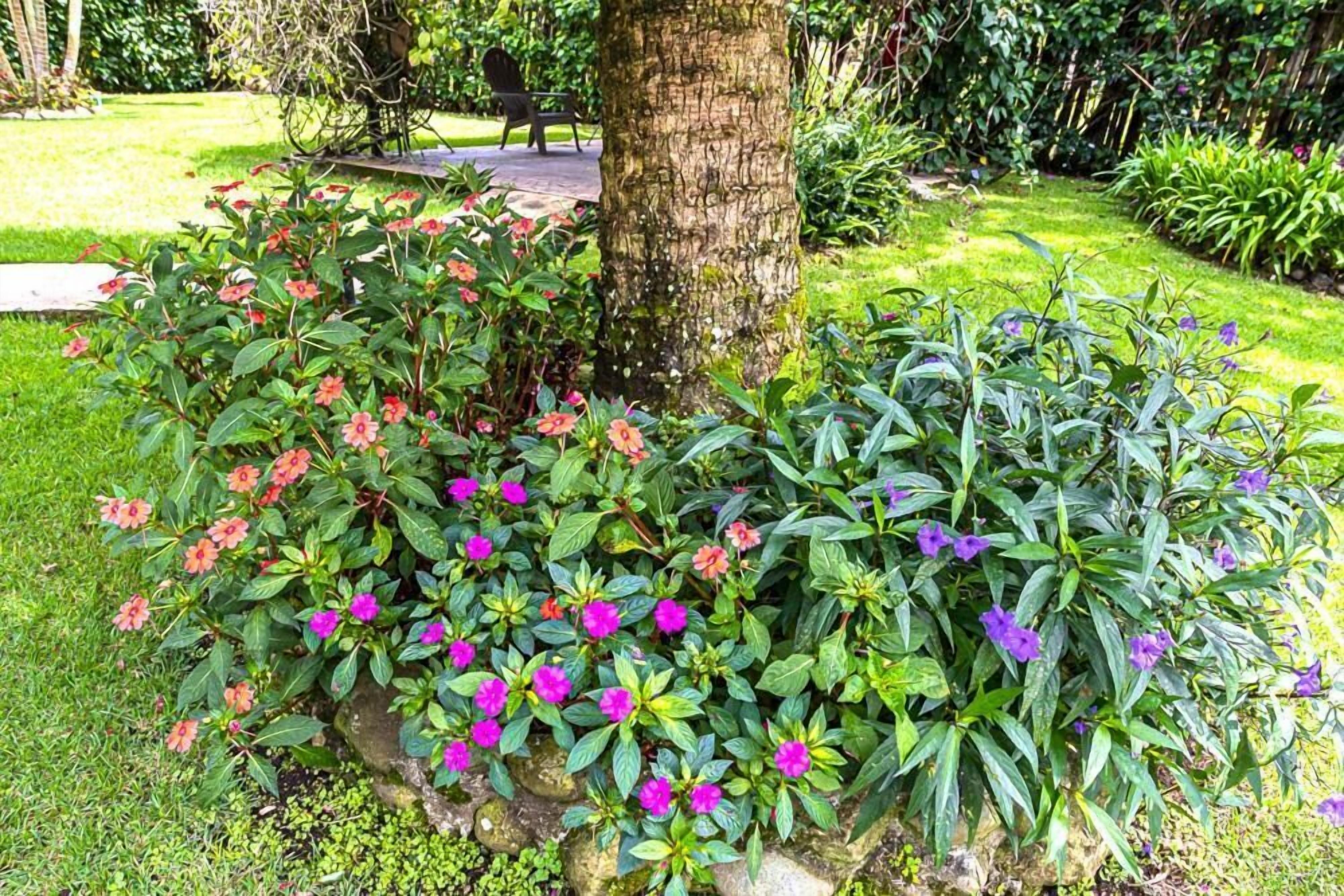 Un jardín con diversas plantas y flores, un banco de piedra y un árbol.