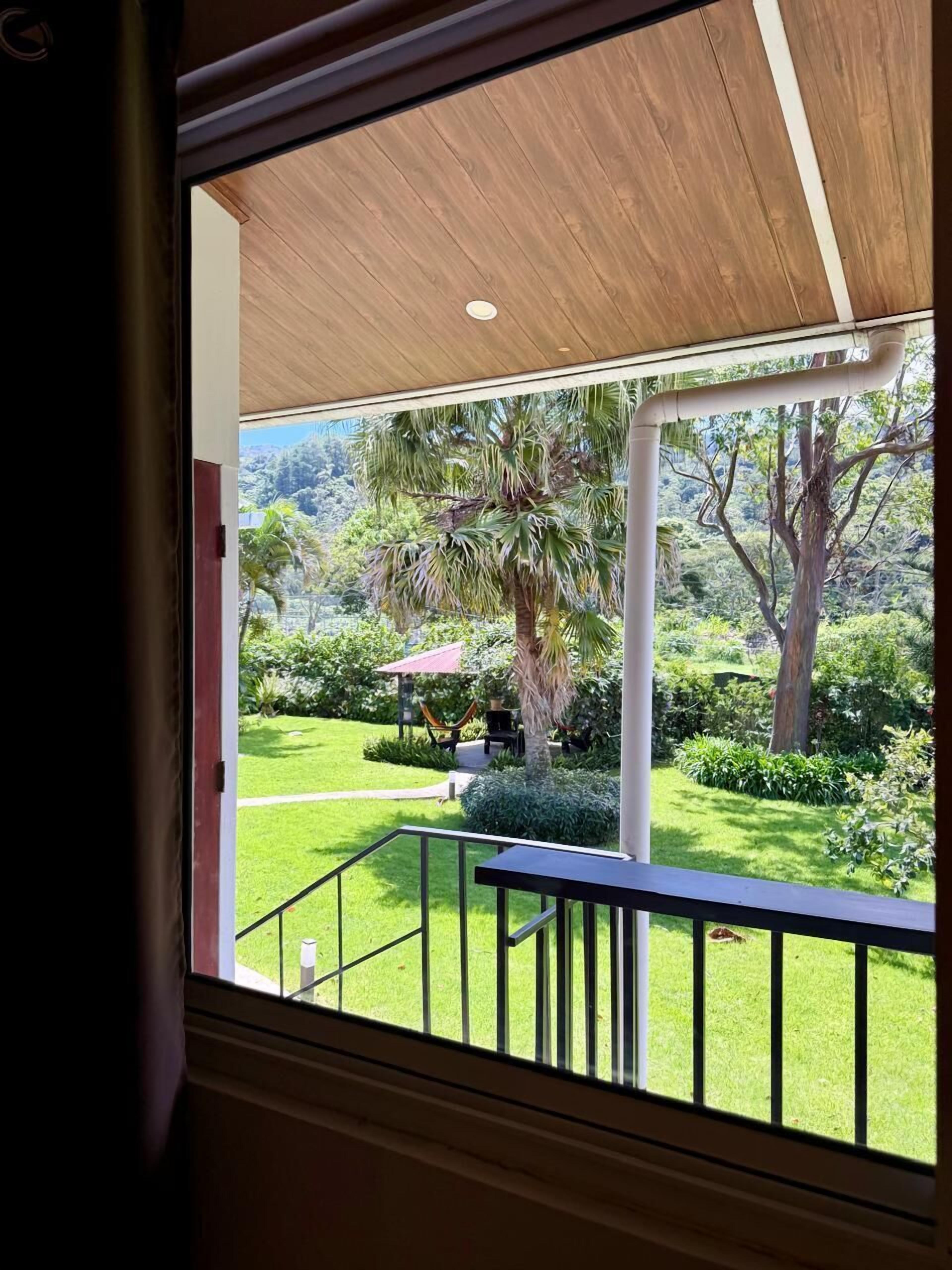 Junior Room | Terrace/patio