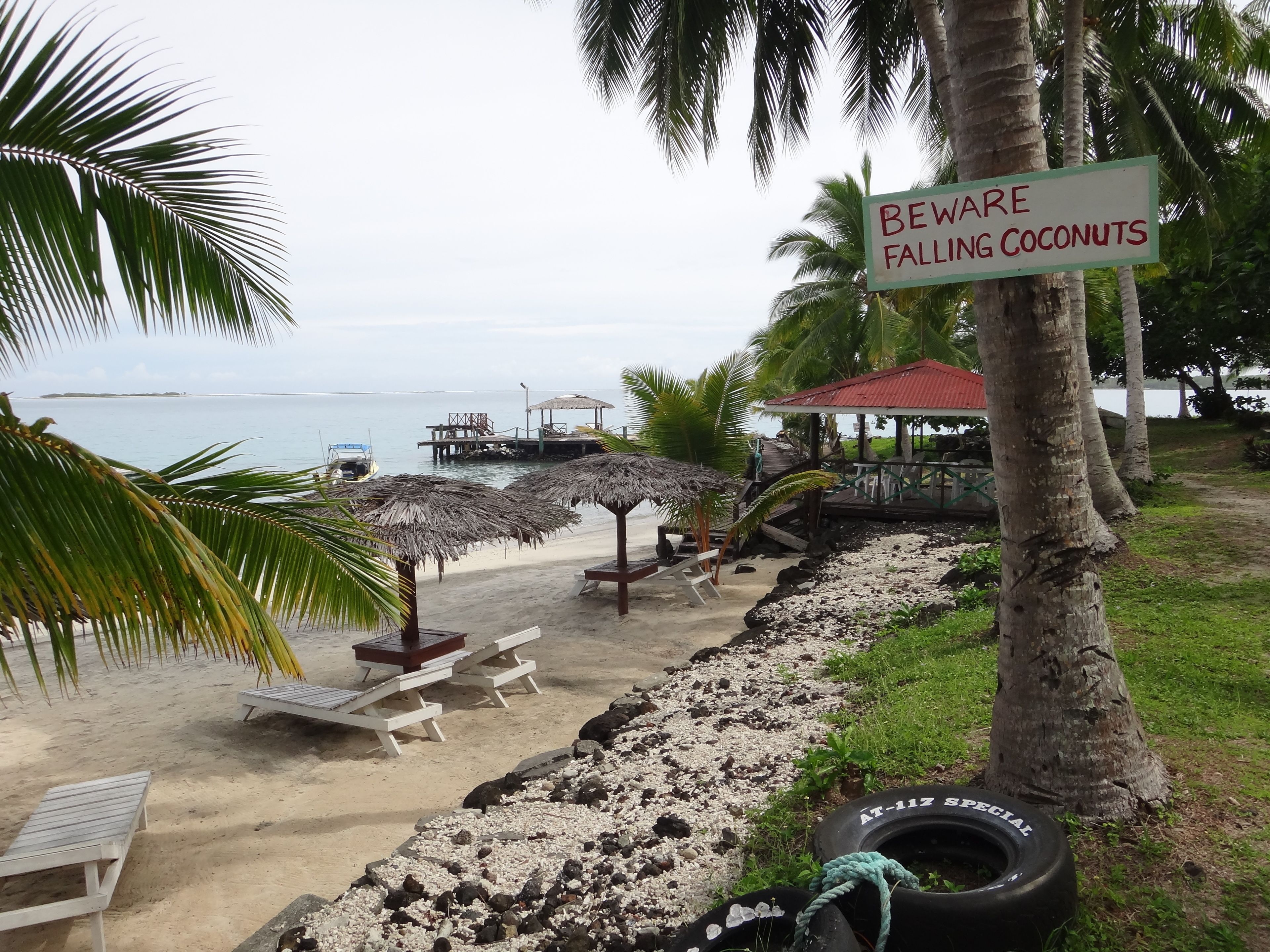 A beach with a sign warning of falling coconuts, lounge chairs, a thatched umbrella, and a tire swing.