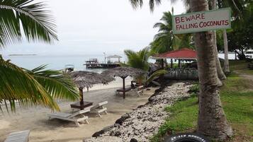 A beach with a sign warning of falling coconuts, lounge chairs, a thatched umbrella, and a tire swing.