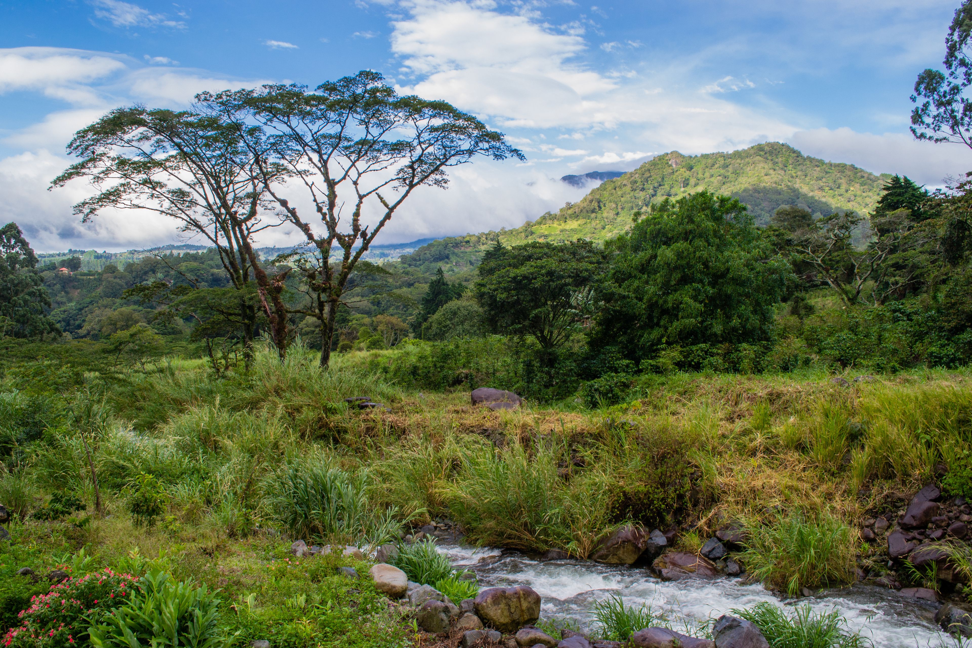 Photo - The Inn at Palo Alto