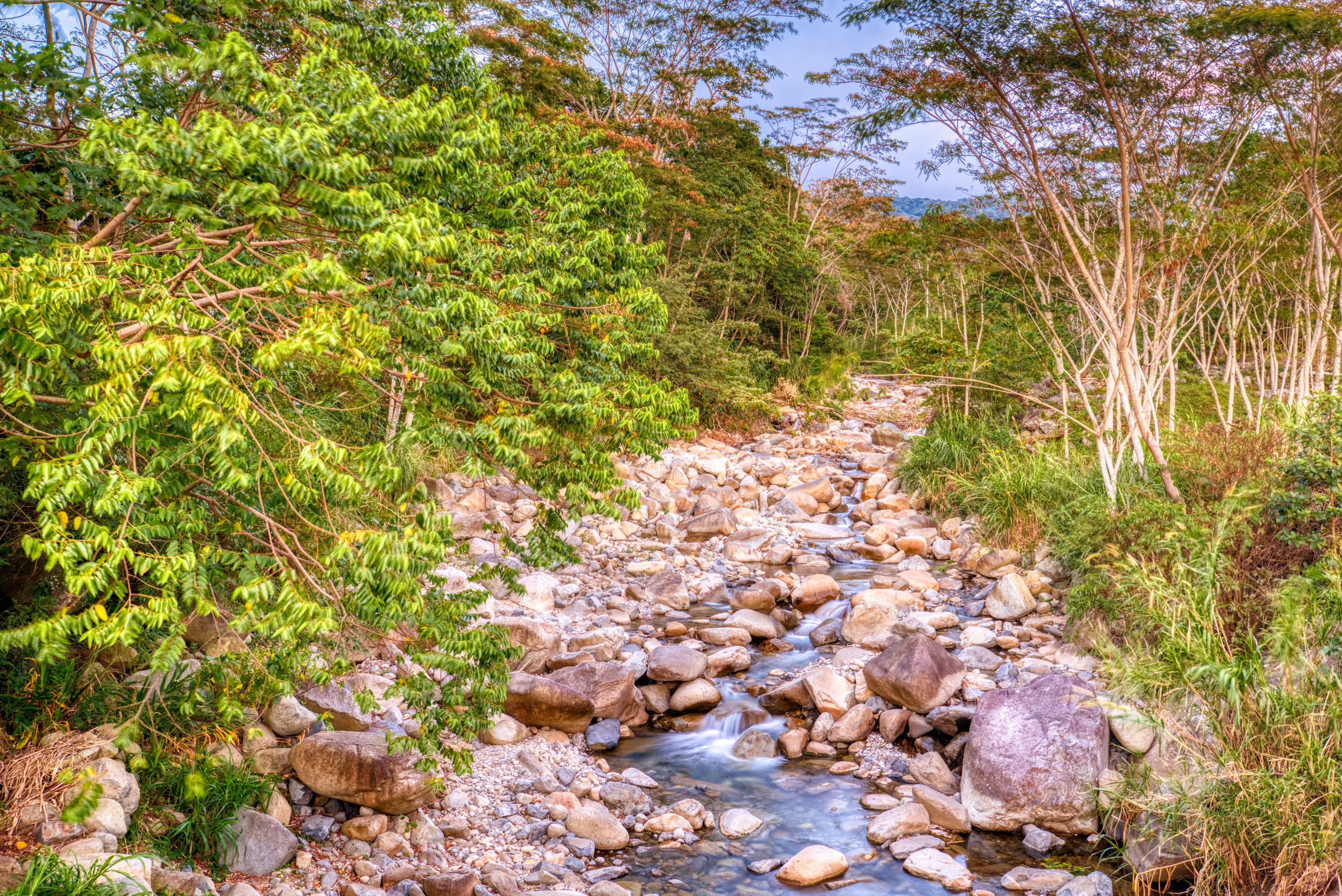 Photo - The Inn at Palo Alto