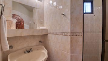 Baño con lavabo, espejo y zona de ducha.