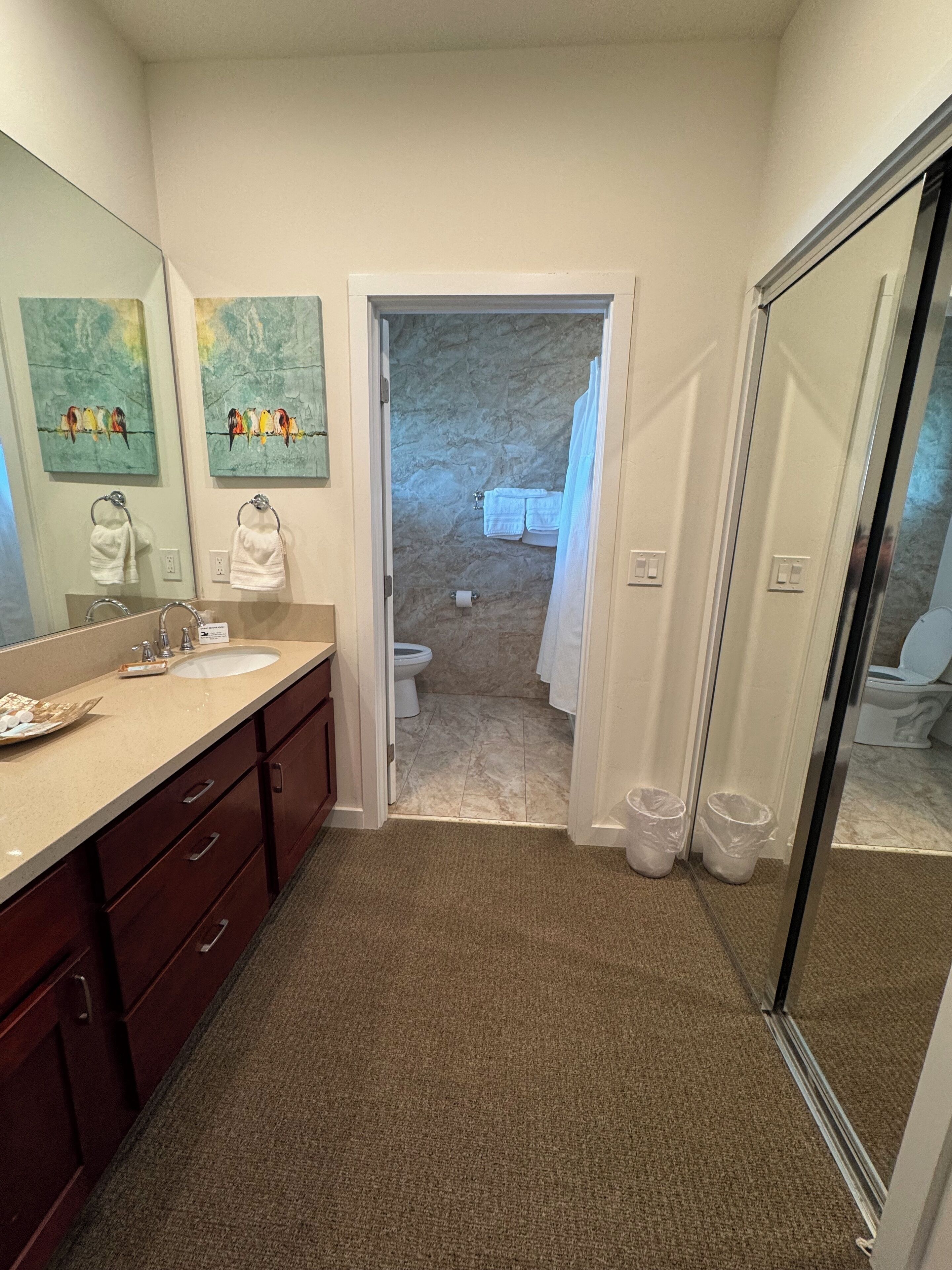 A bathroom with a sink, mirror, and two towels hanging on hooks. There are two trash bins and a shower area visible.