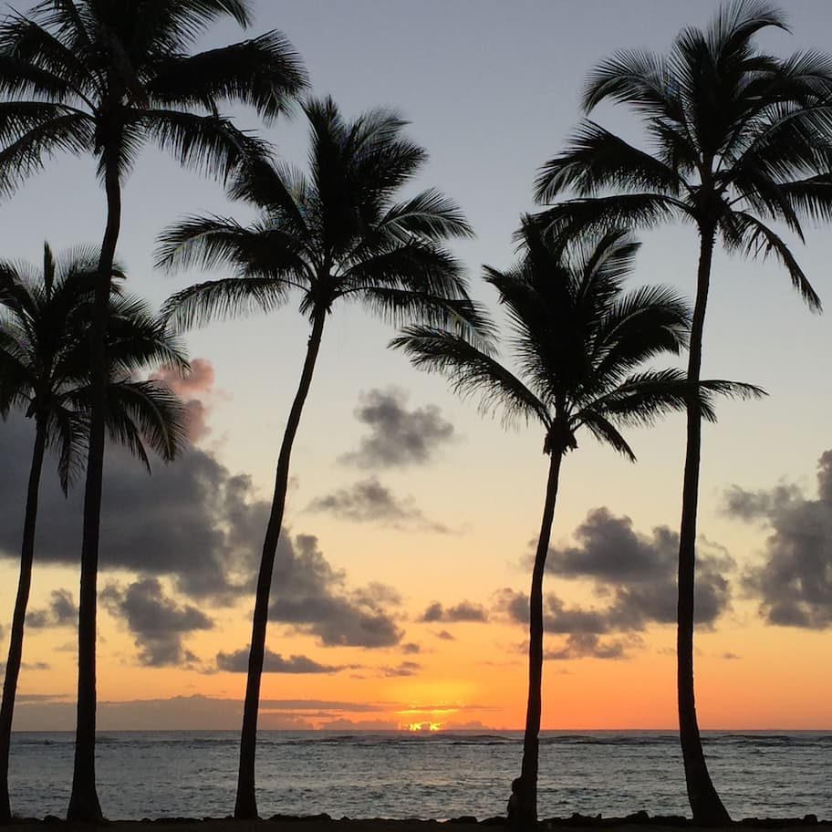 A sunset over the ocean with palm trees silhouetted against the sky.