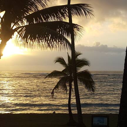 On the beach, sun loungers, beach umbrellas, beach towels