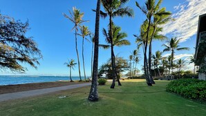 A grassy area with palm trees and a path leading to the beach. - Hotel Coral Reef (Kapaa)
