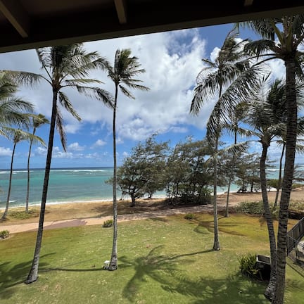 A view from a window overlooking a beach with palm trees and ocean.