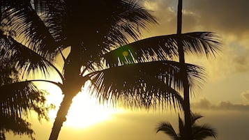 På stranden, solstolar, parasoller och strandhanddukar