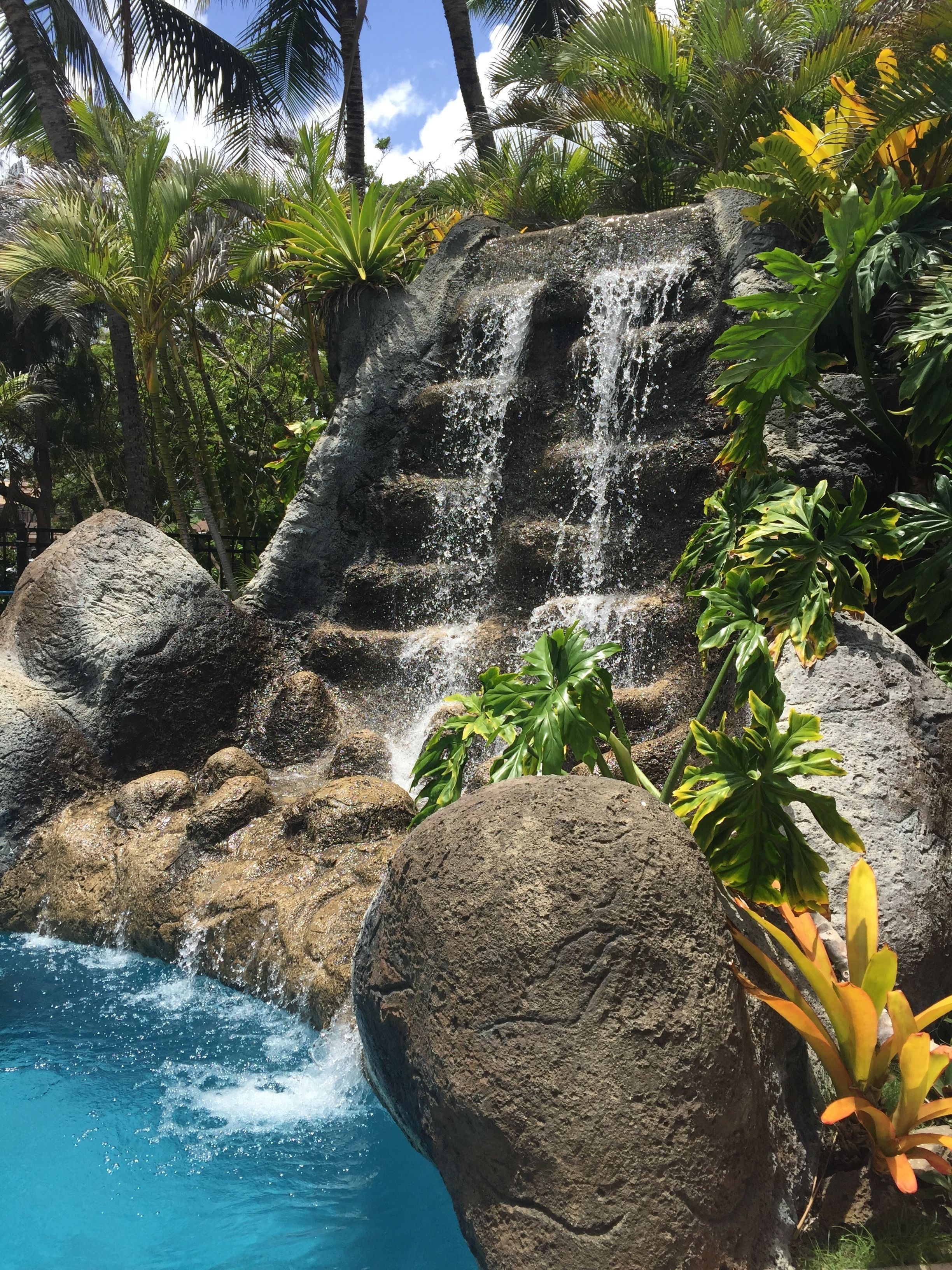 Outdoor pool, open 9:00 AM to 8:00 PM, pool umbrellas, sun loungers