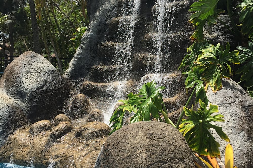 Hotel Coral Reef