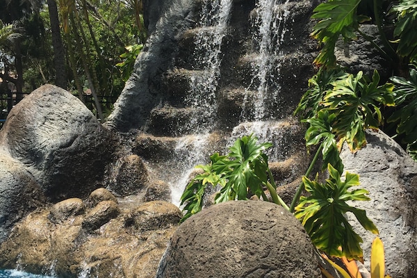 Piscine extérieure, parasols de plage, chaises longues