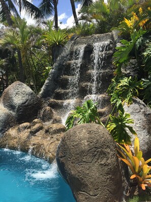 Une cascade naturelle qui dévale les rochers et se jette dans un bassin, le tout étant entouré d’une végétation tropicale.