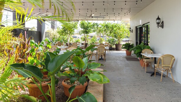 Un patio al aire libre con mesas y sillas, rodeado de plantas en macetas y árboles.