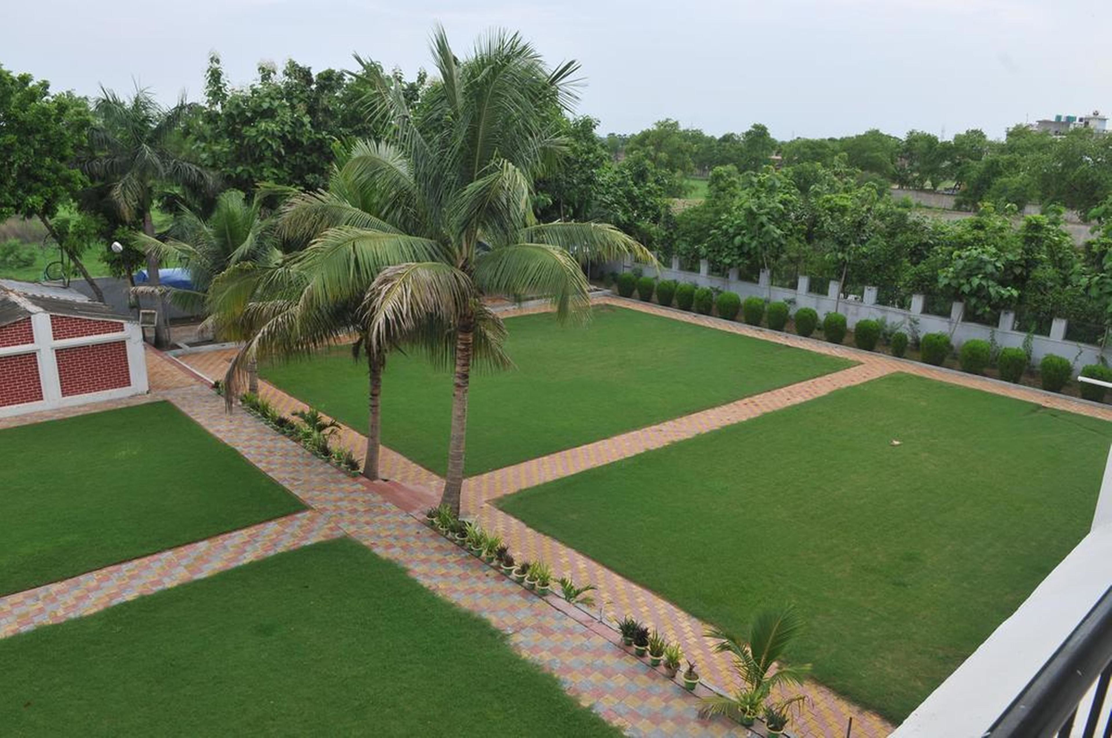 A well-maintained garden with a central lawn, palm trees, and a brick pathway.