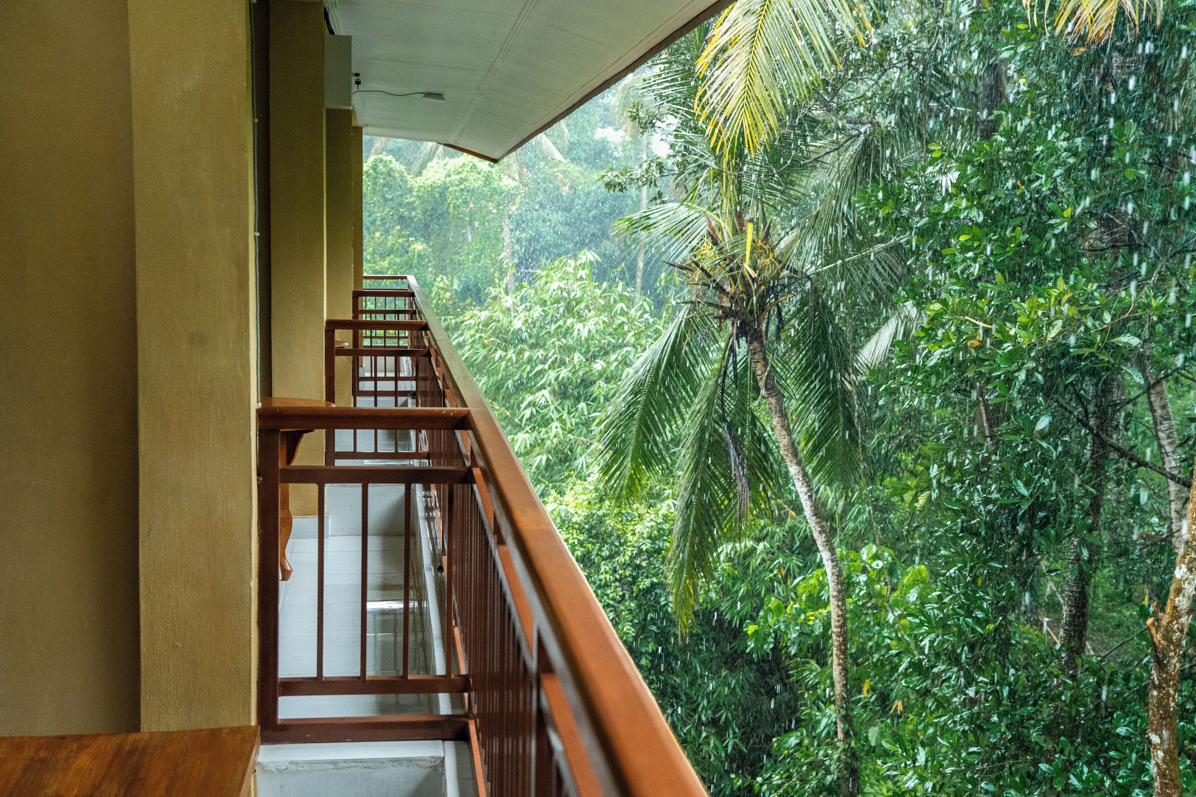 Foto - Jati 3 Bungalows