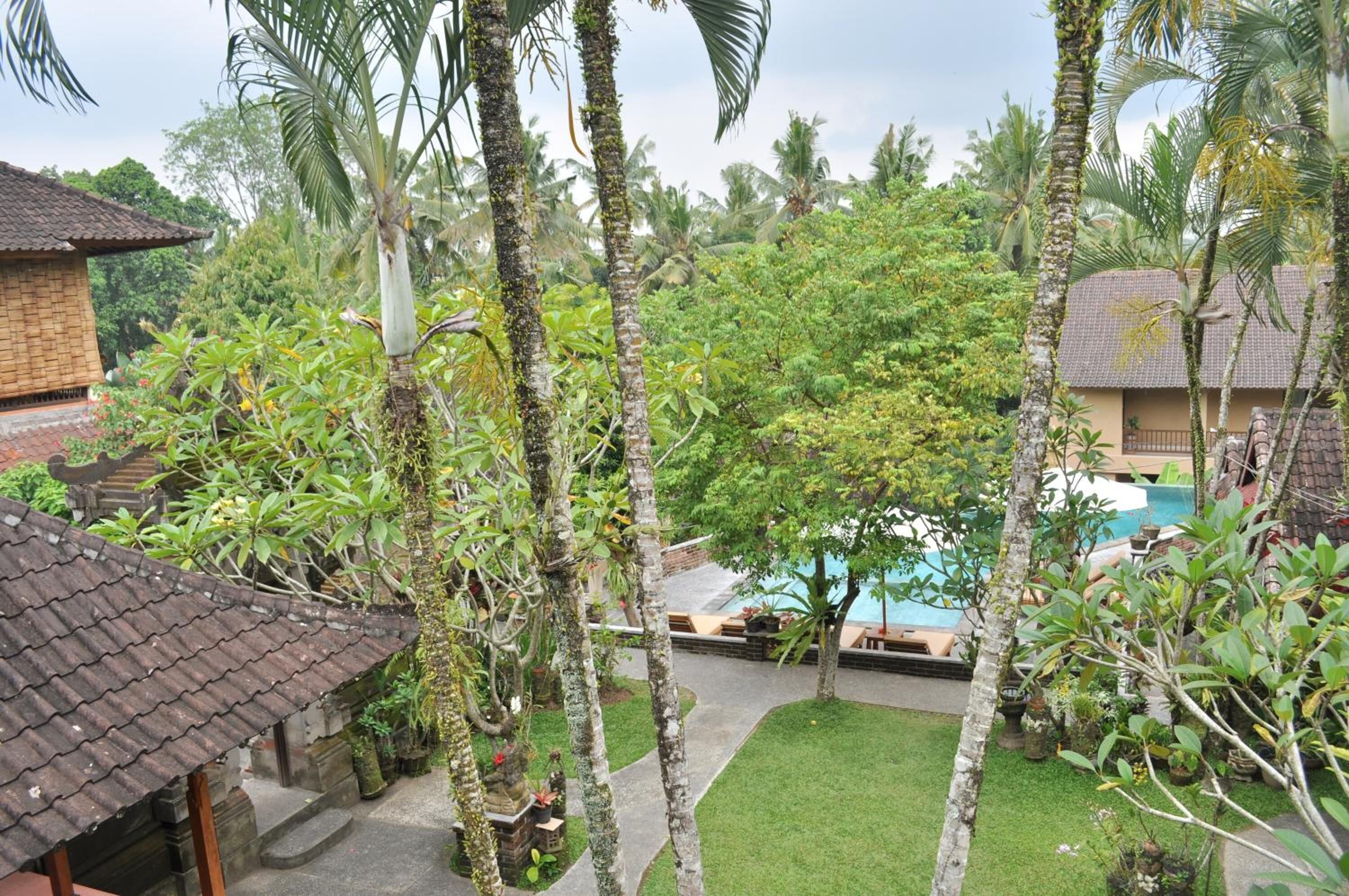 A tropical garden with a swimming pool, palm trees, and a brick building.