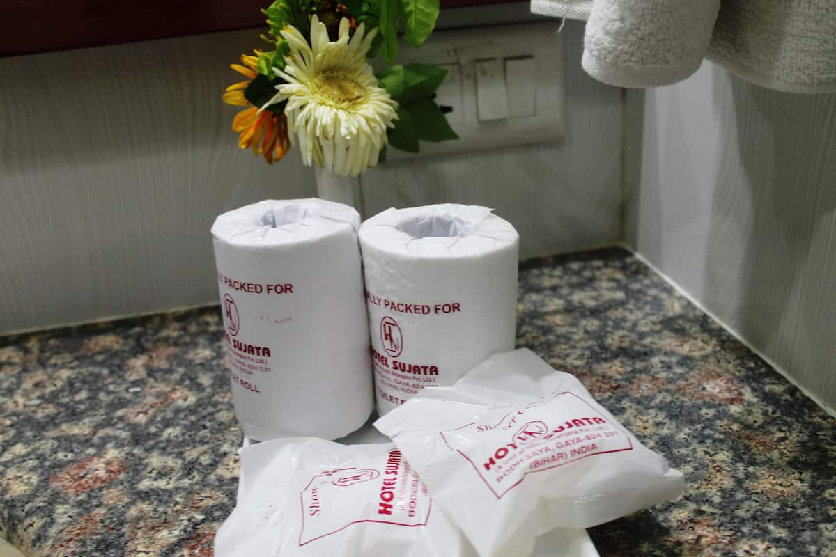 Derin küvet, saç kurutma makinesi, terlik