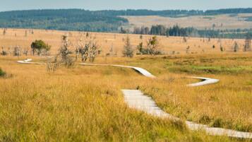 Un sendero pavimentado serpentea por un campo cubierto de hierba, con árboles y una zona boscosa en la distancia.