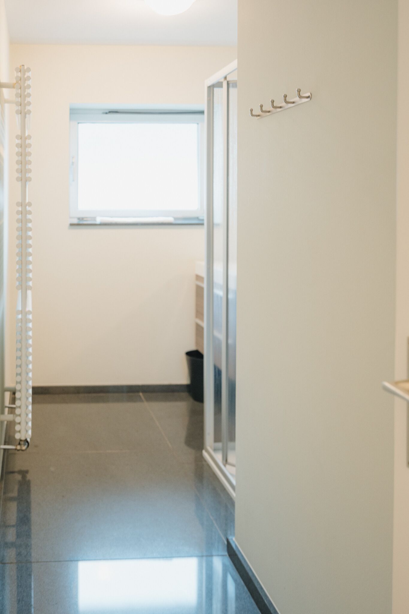 A hallway with a glass shower door, a window, and a metal rack.