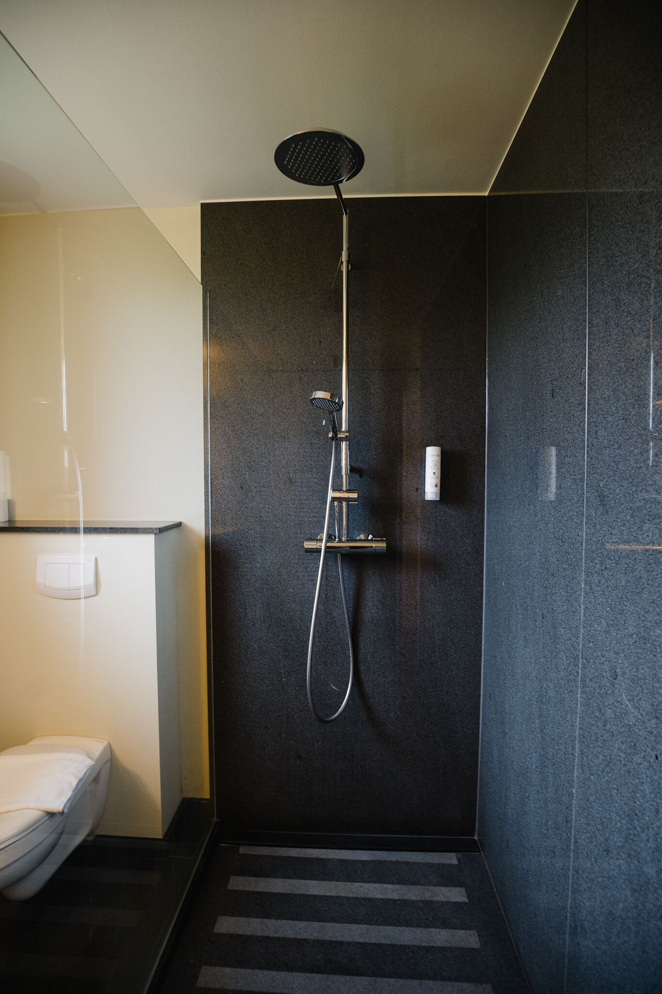 A modern bathroom with a shower, toilet, and a towel rack.