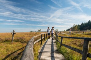 A wooden boardwalk in a natural setting with grassy fields and trees in the background. - Hotel Restaurant Tychon (Raeren)