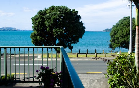 Vista desde la propiedad