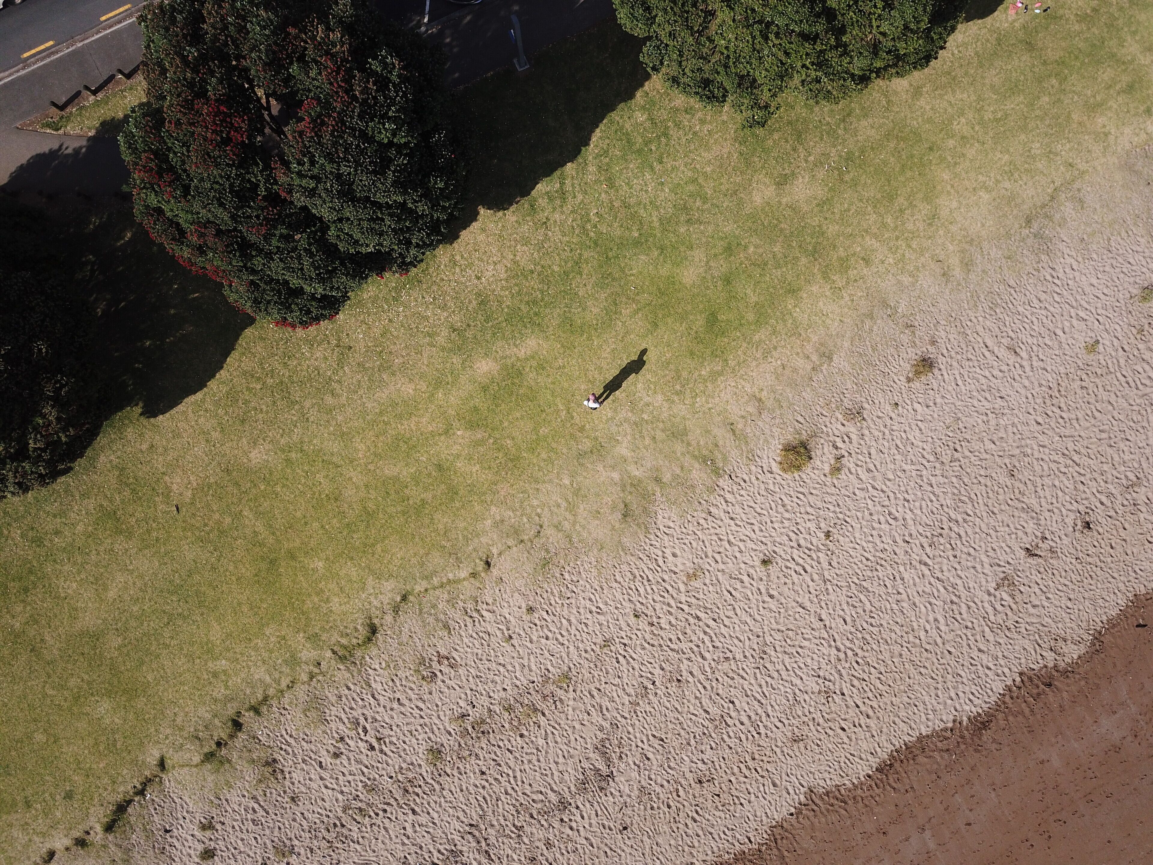 An aerial view of a beach with a grassy area and a sandy path leading to the water.