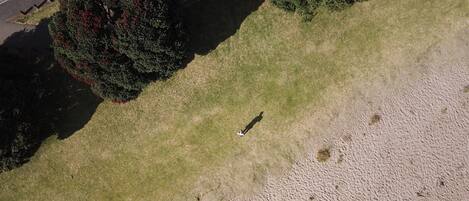 An aerial view of a beach with a grassy area and a sandy path leading to the water.