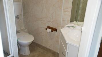A bathroom with a toilet, a sink, and a mirror.