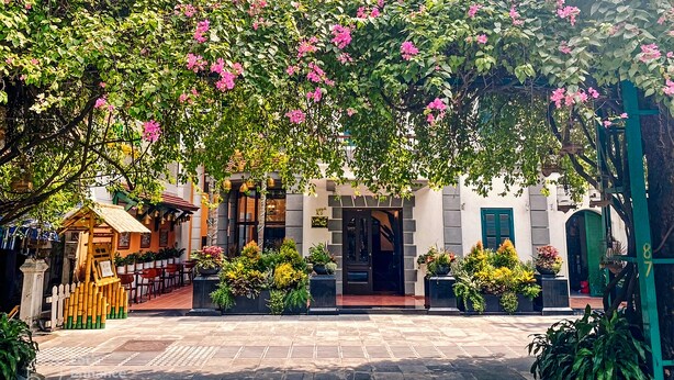Un patio con la entrada de un edificio, plantas en macetas y una pequeña estructura de madera.