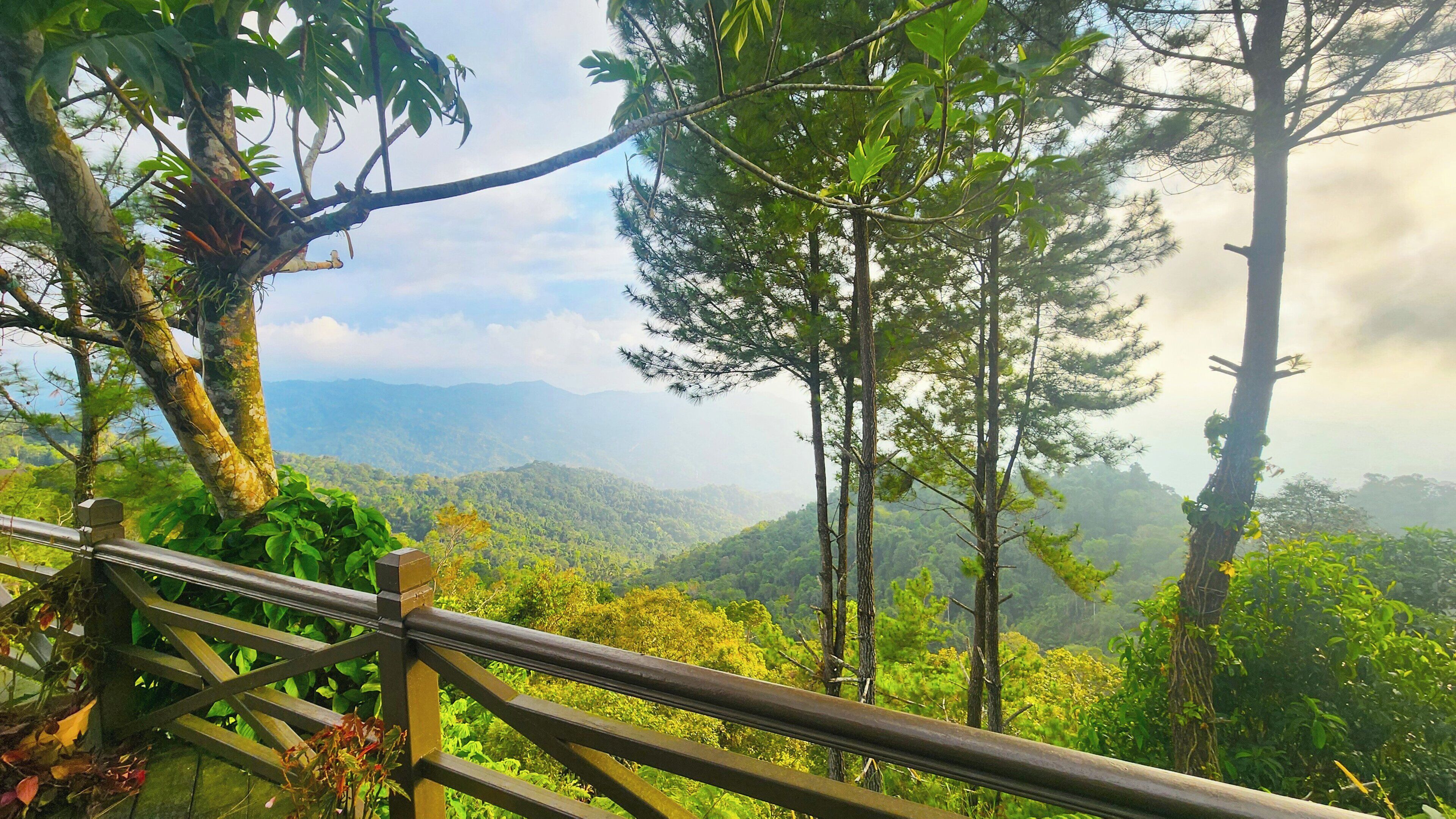 Hill view