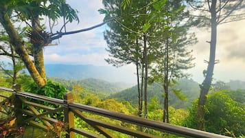Hill view