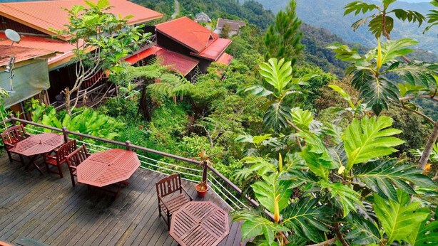 Une terrasse en bois, agrémentée de tables et de chaises, entourée d’une végétation luxuriante et dominant un paysage montagneux.