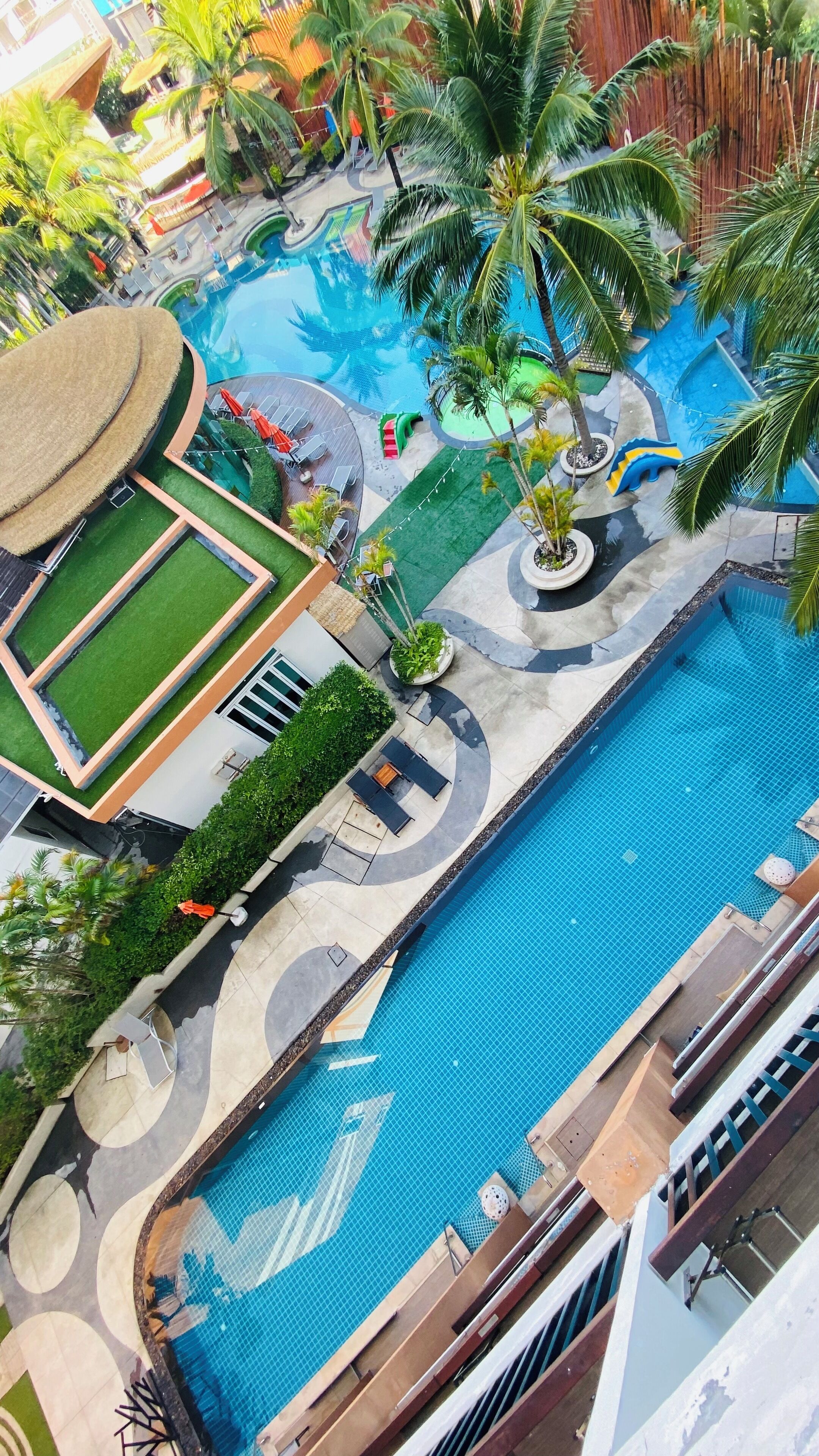 A large swimming pool with multiple lanes, surrounded by palm trees and lounge chairs.