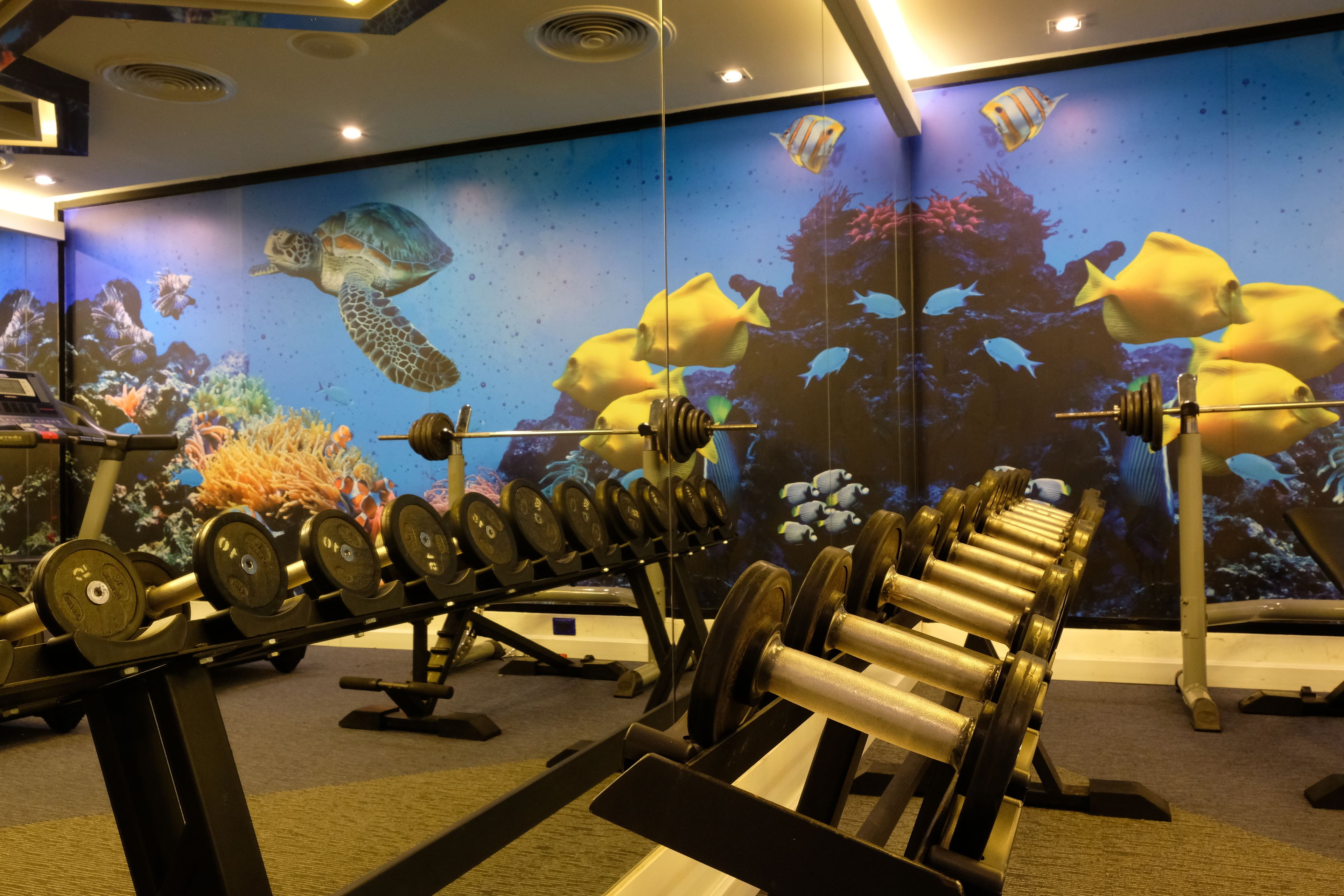 fitness facility
