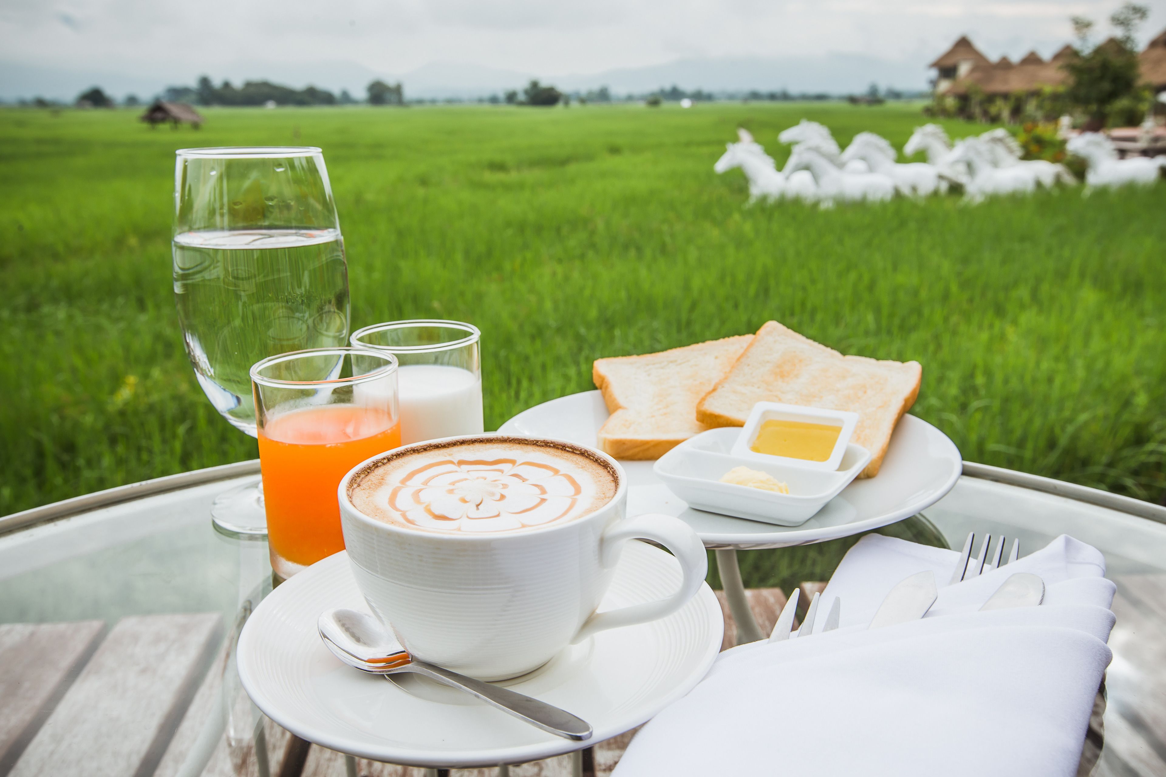 A breakfast setting with a cup of coffee, toast, butter, and juice on a table with a glass pitcher, set against a backdrop of a green field and white horse statues.