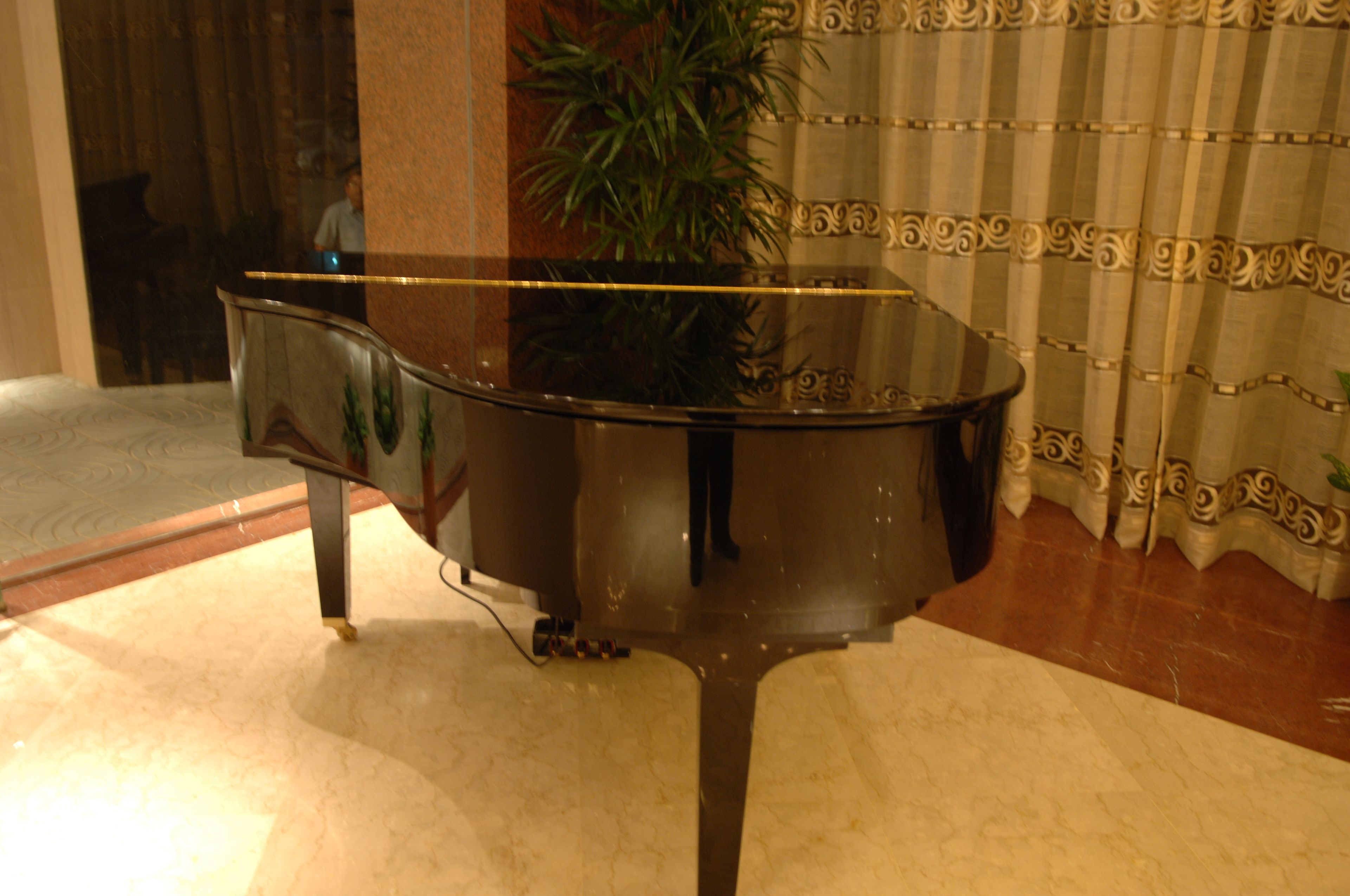 A grand piano in a well-lit room with a patterned curtain and a plant in the background.